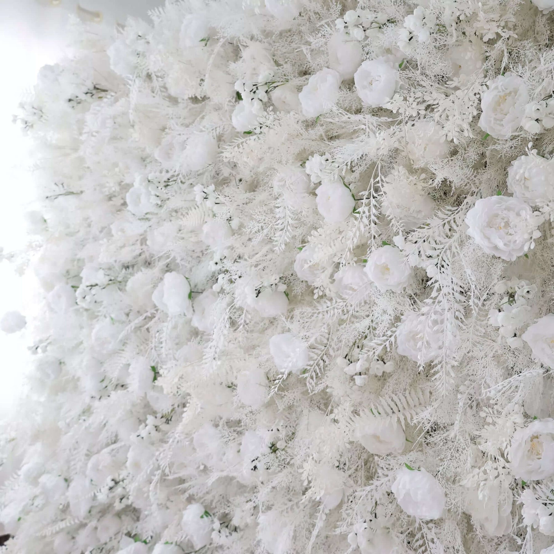 💥BF SALE: 5D White Pampas Flower Wall Backdrop Roll Up #RTW270