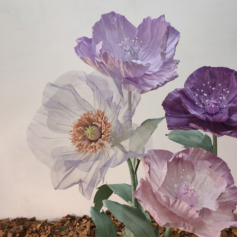 Roseytime Giant Flower Purple Poppy Set of 4